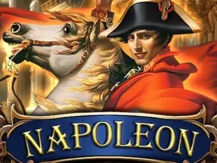 Napoleon icon