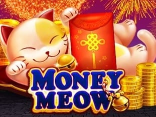 Money Meow icon