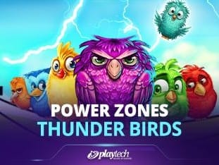 Power Zones™_ Thunder Birds icon